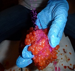 cureeggs3