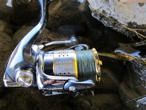 Stella FE 3000 Stella FE 3000